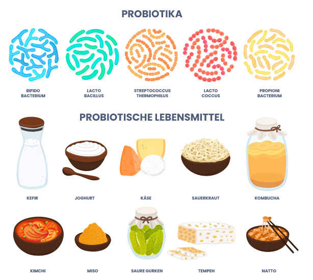 Probiotische Lebensmittel